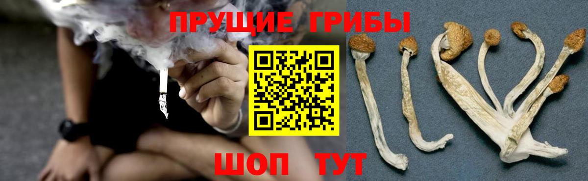 Псилоцибиновые грибы MAGIC MUSHROOMS Стрежевой